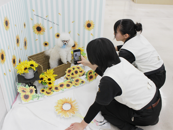 ２年生とモデル犬の写真撮影会♪～PART①～
